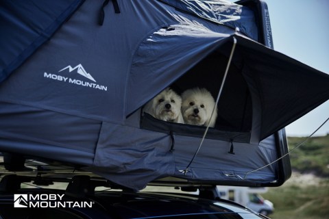 Peak-XXL-MOBY-MOUNTAIN-daktent-008